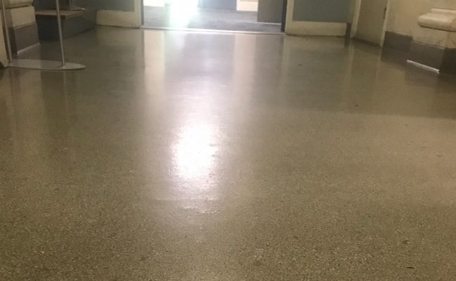 Terrazzo Restoration